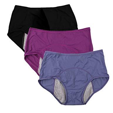Leak Proof Period Panties - Free Size